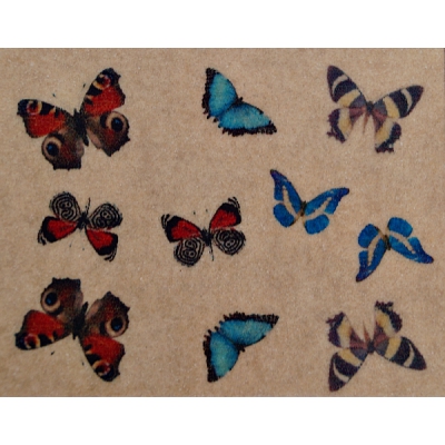 Фотодизайн ногтей "Цветные бабочки", Р002
